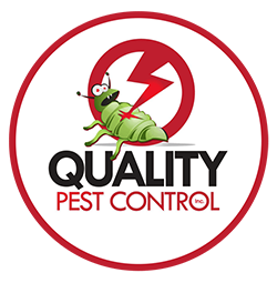 Pest Control Essex