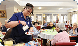 care homes epping